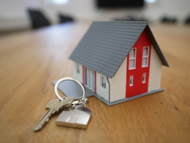 Real estate property listing platform and tenant management portal